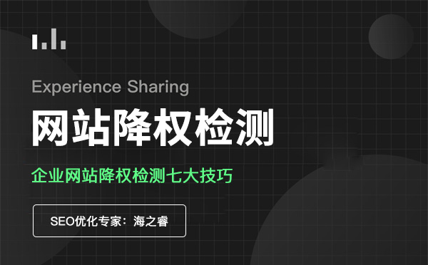 企業(yè)網(wǎng)站降權(quán)檢測(cè)七大技巧